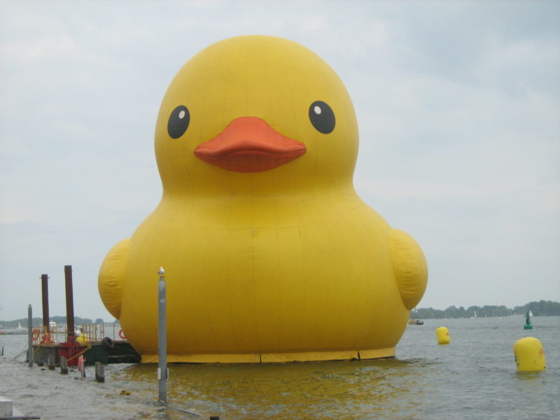 A Decade Later, The Giant Inflatable Rubber Duck Graces the City