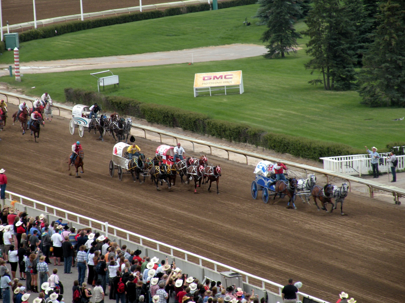 Calgary Stampede cancelled, chuckwagon horses to be euthanized anyway - The  Beaverton