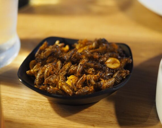 A small bowl of fried crickets on a restaurant table