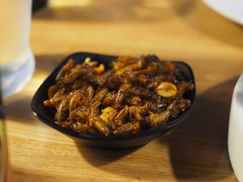 A small bowl of fried crickets on a restaurant table