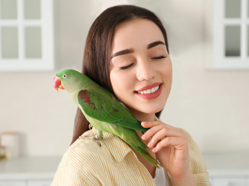 a woman with a green bird on her shoulder who she's stroking lovingly